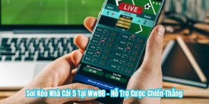 Soi Kèo Nhà Cái 5 Tại KUBET - Hỗ Trợ Cược Chiến Thắng